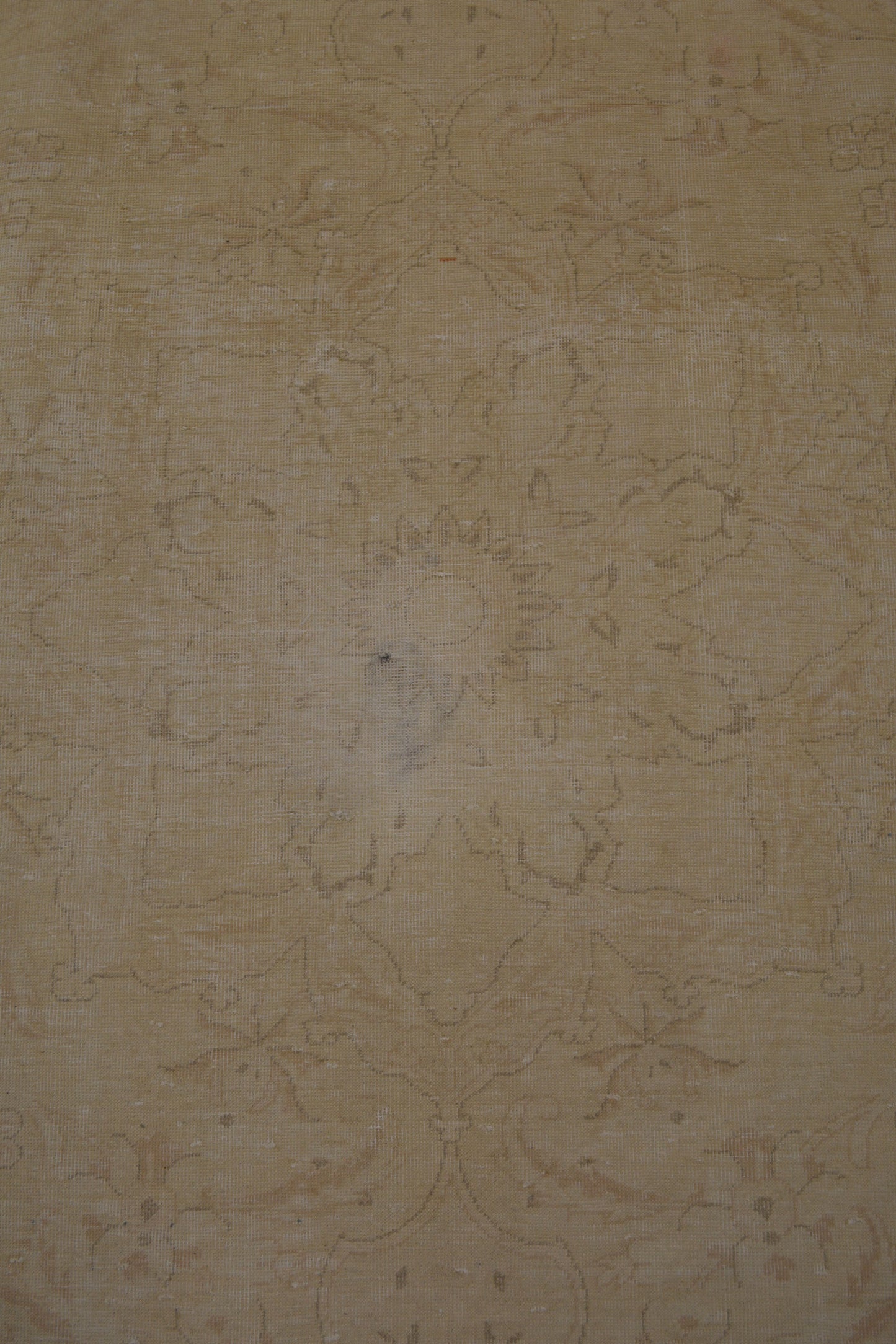 The center's close up renders an outlined flower with leaves around it.