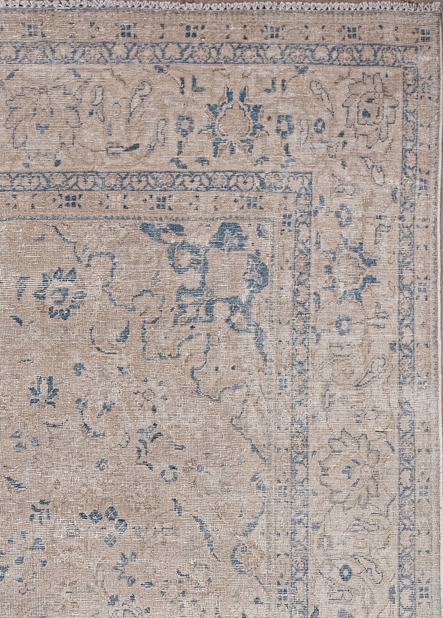 In the middle of these borders, there is a thicker frame showing beetles, margaritas, and leaves.