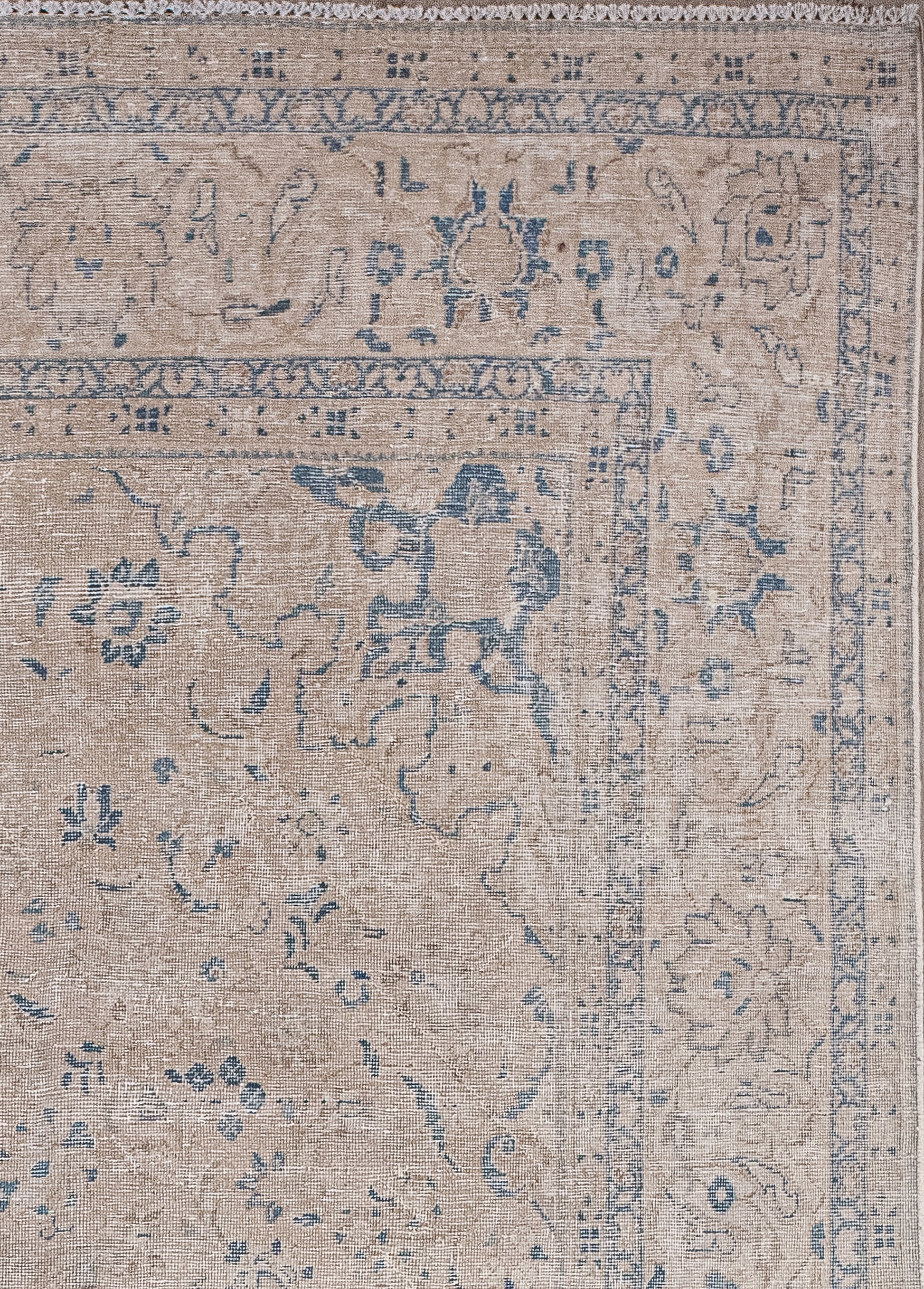 In the middle of these borders, there is a thicker frame showing beetles, margaritas, and leaves.