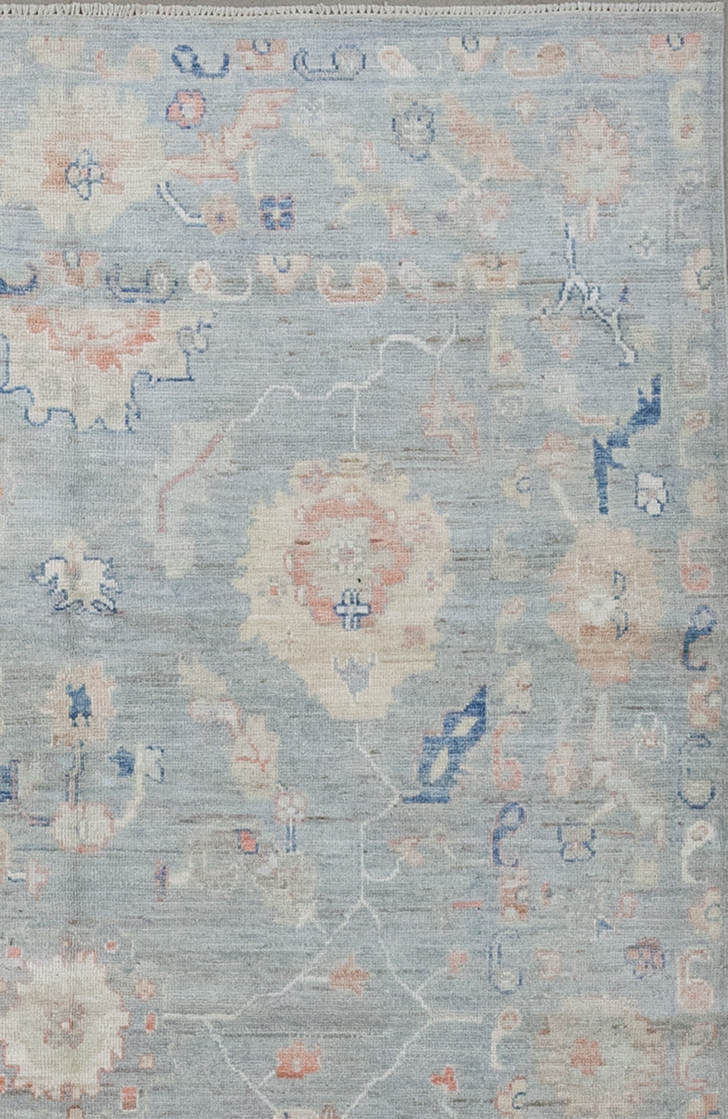 Additionally in between the borders, there is a thick frame which has sea lettuce, and corals' fragments.