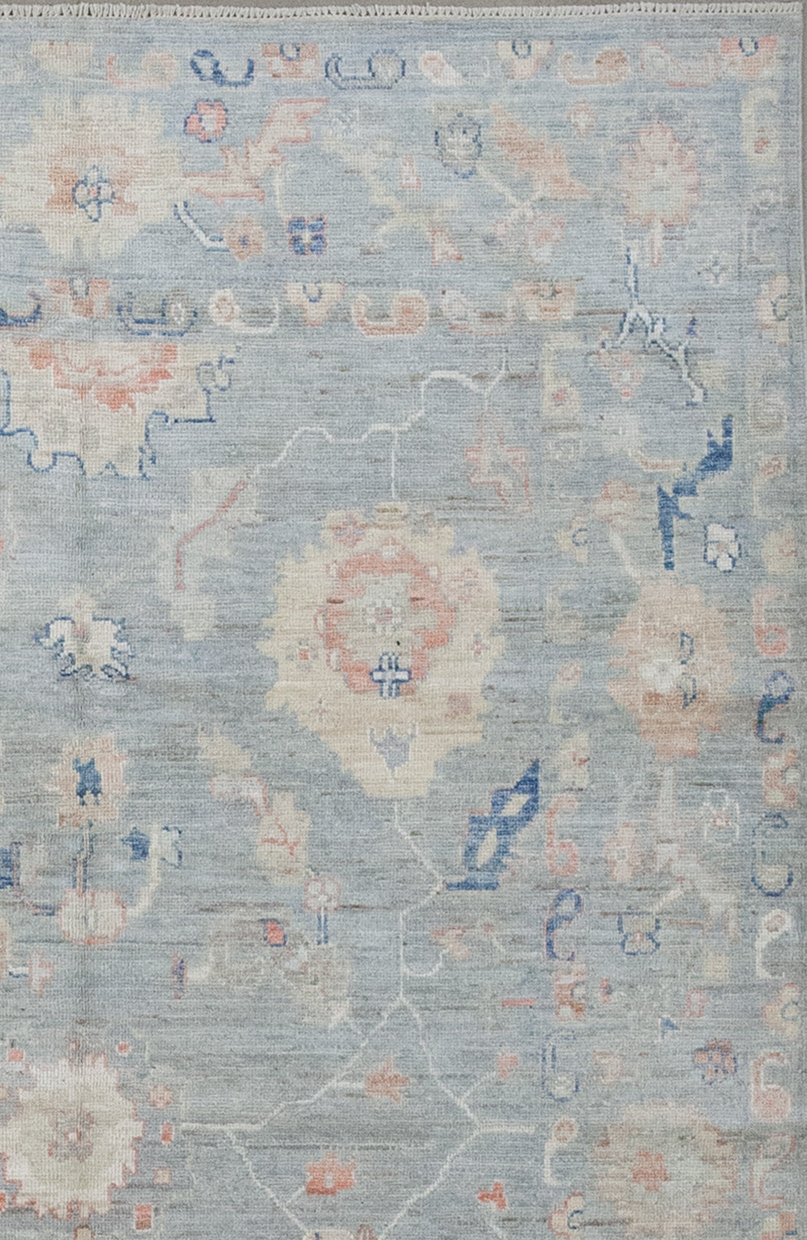 Additionally in between the borders, there is a thick frame which has sea lettuce, and corals' fragments.