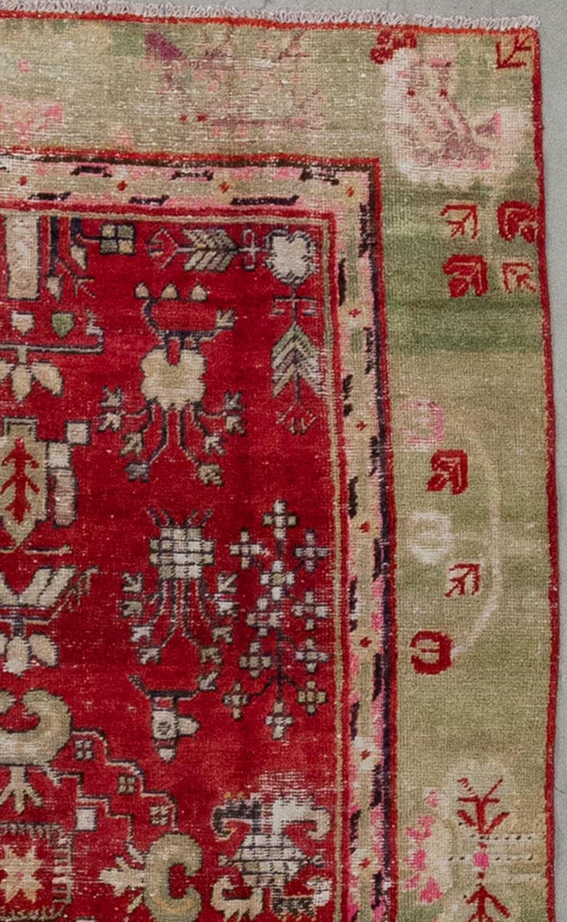 Also, the greenish frame displays beige branches holding red flowers' heads.