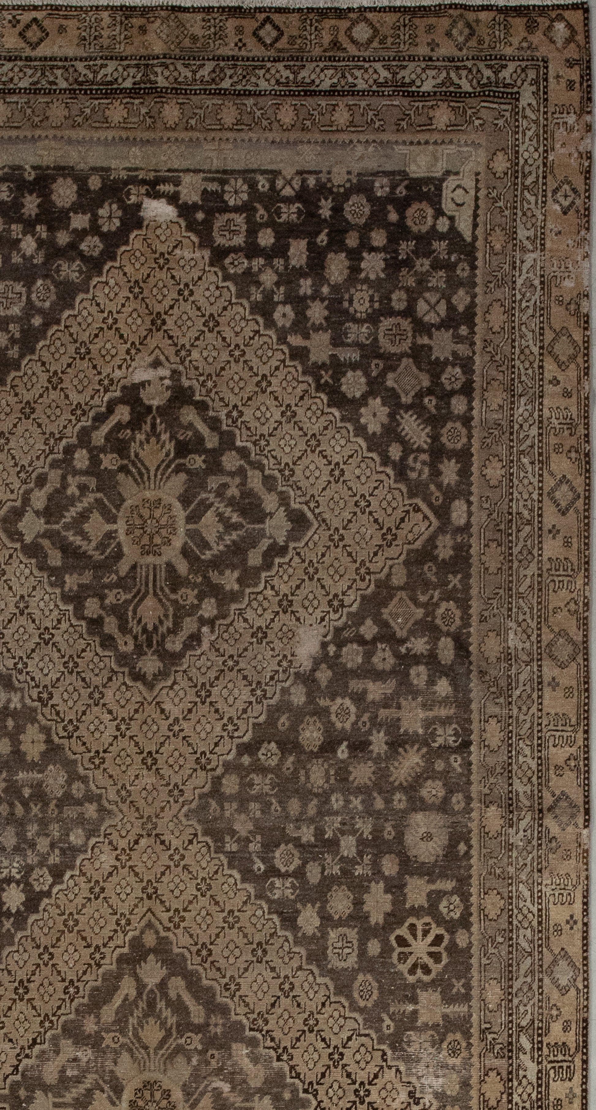 These frames display different symmetrical patterns; such as rhombuses, thin branches, and small flowers' heads.