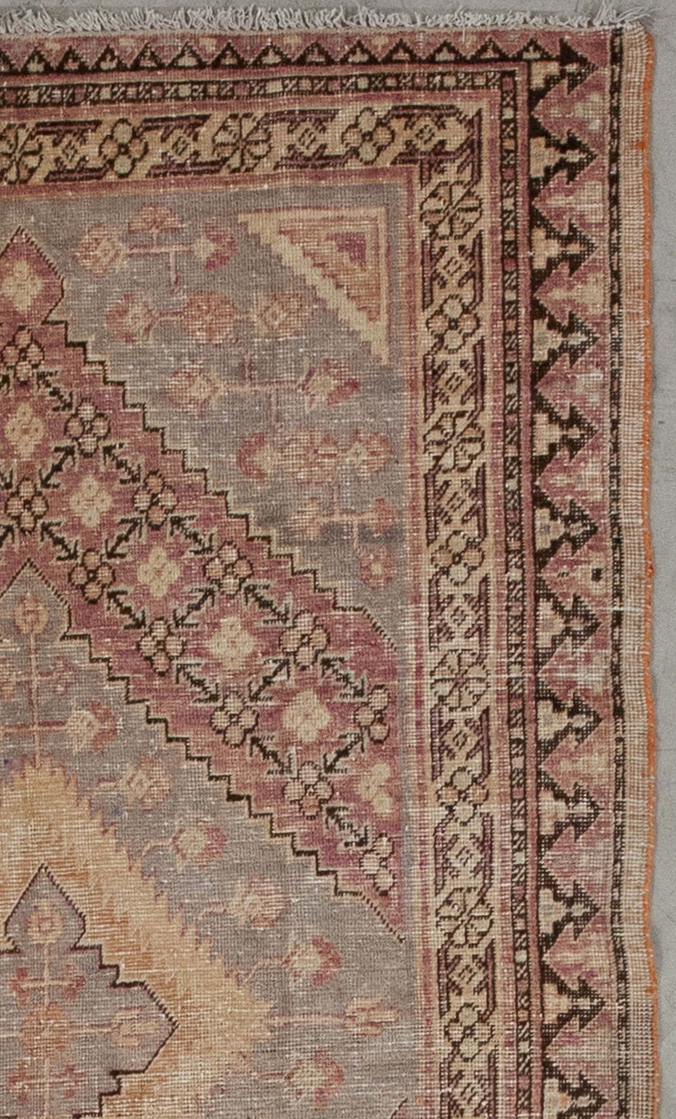 Every frame and border renders a different pattern which are black pines, squares, and flower heads.