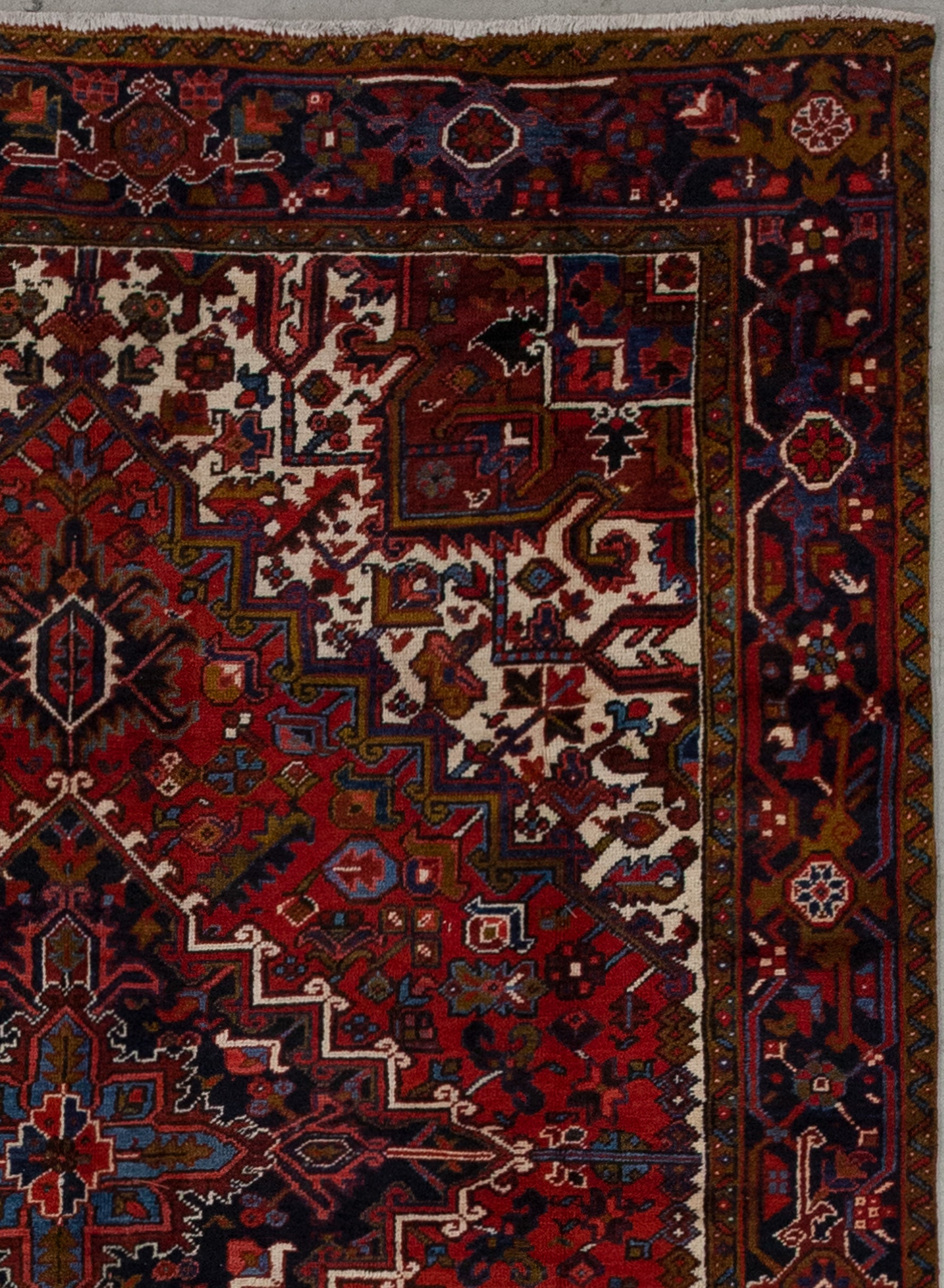 The greenish borders have a ribbon pattern while the black frame has poinsettias, leaves, and abstract figures.