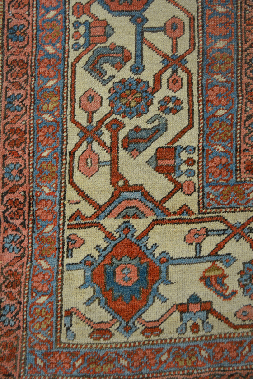 Products Caravan Rug