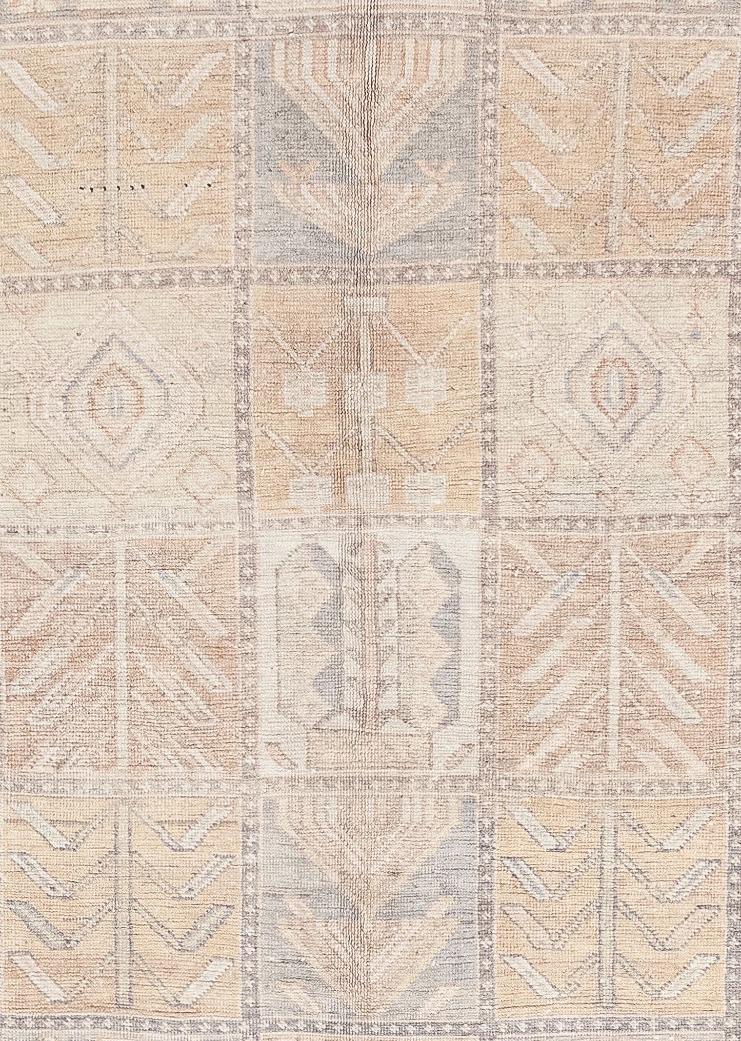 The center of the rug features a 5 x 8 grid that has a total of 40 squares with 10 different designs that are wheat plants, inverted pyramids, lined diamonds, cactus, and tribal.