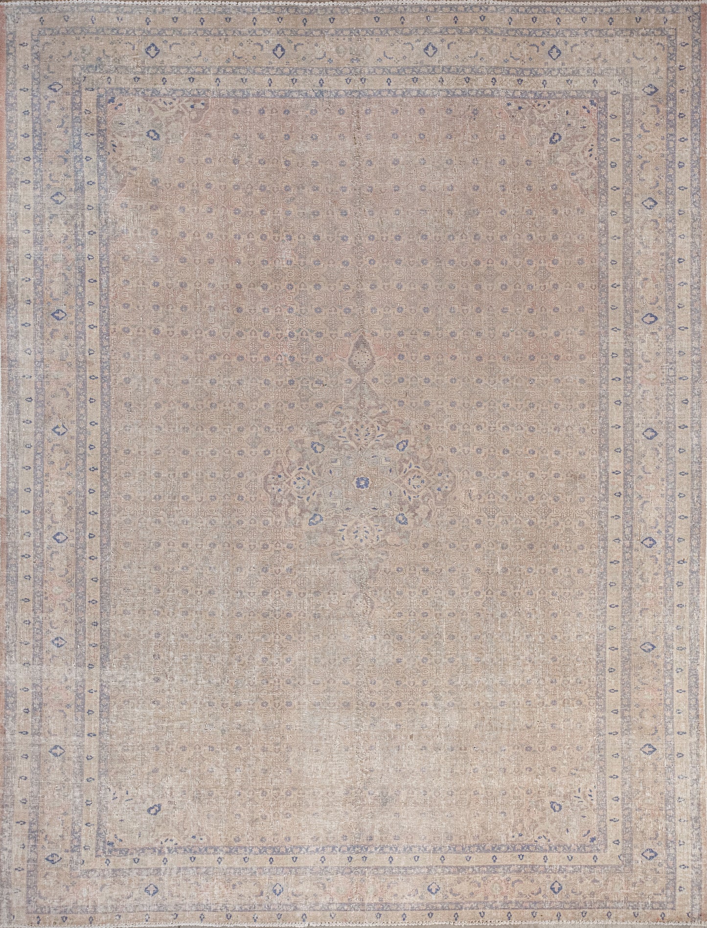 Cheerful rug was woven to be present at your festivities. The color scheme has a champagne shade for the background, cream for the borders, and a blue pattern.